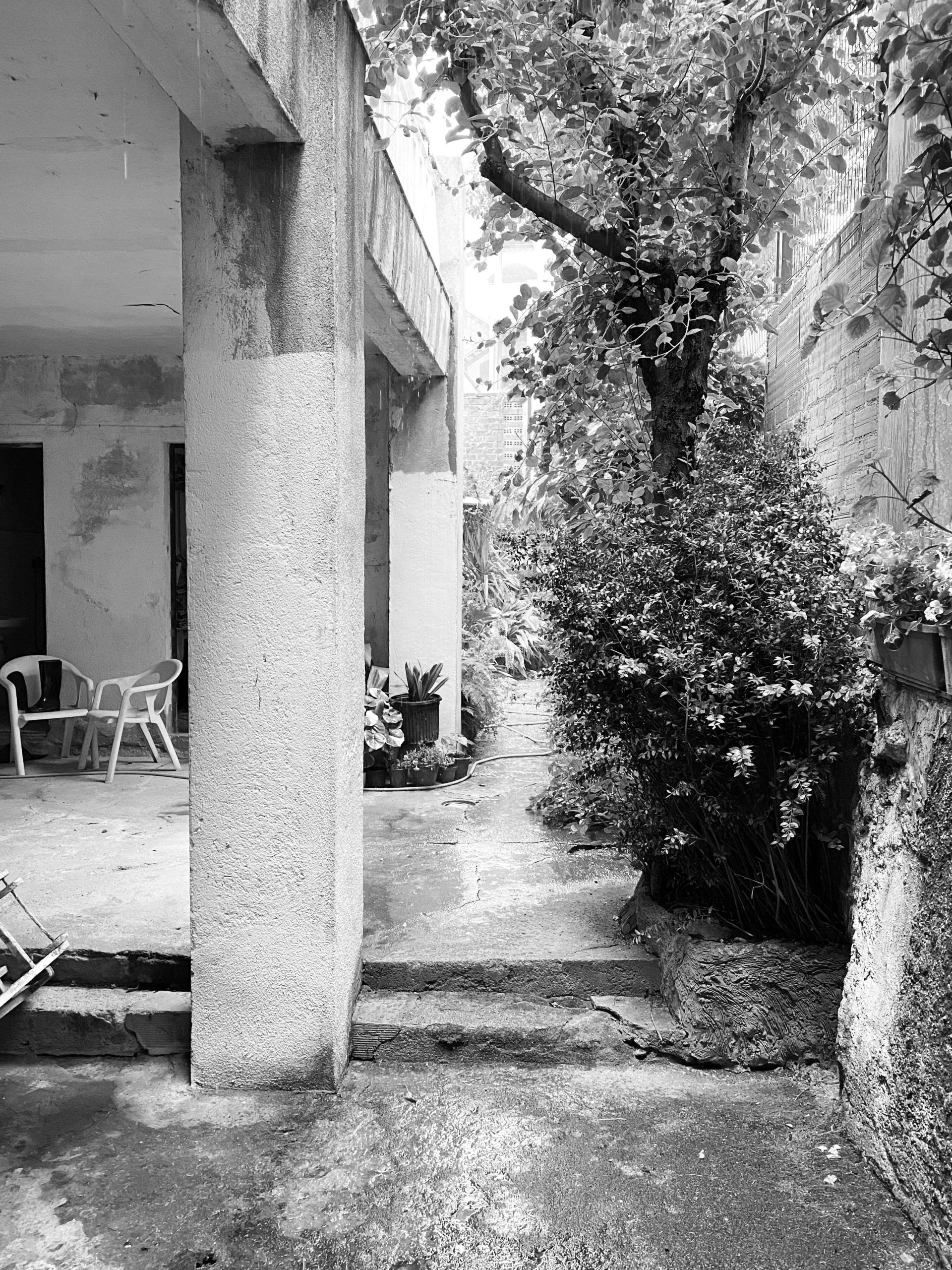 casa blanco y negro