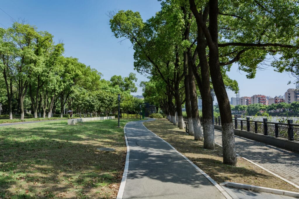 Sendero verde en ciudad